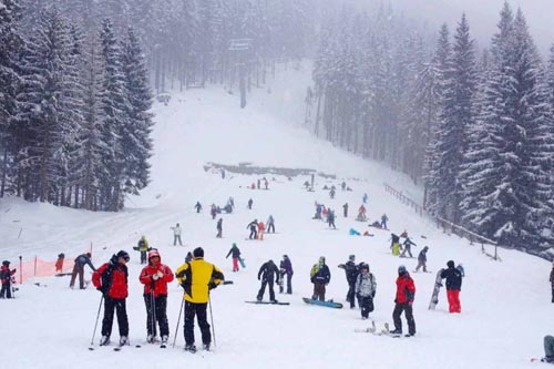 Shimla Tour