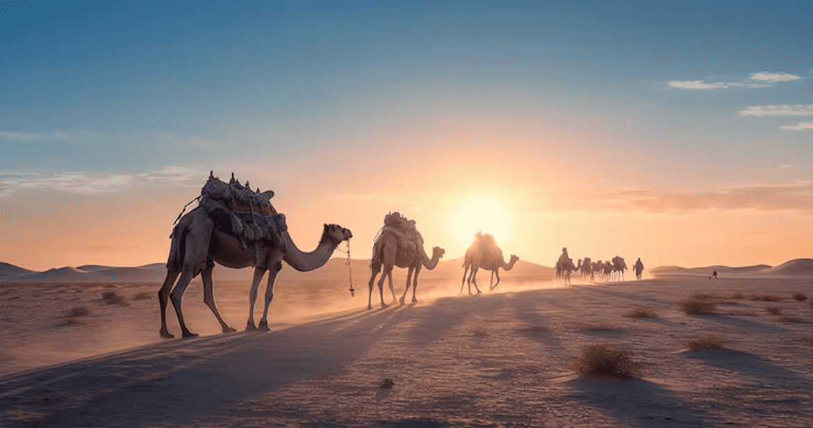 Jaisalmer Tour Package